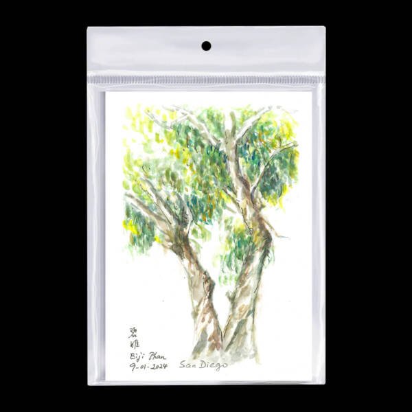 Watercolor Postcard 5"x7" San Diego Tree